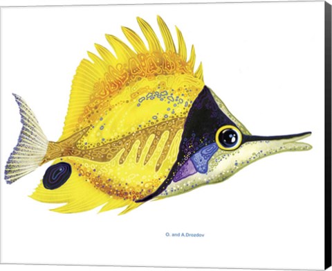 Framed Fish 5 Red-Yellow Print