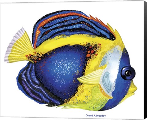 Framed New Fish 2 Print