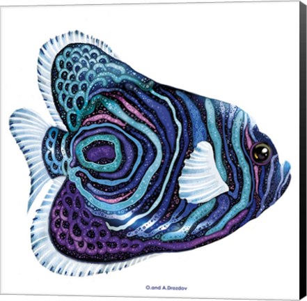 Framed New Fish 3 Print