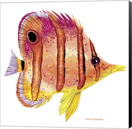 Framed New Fish 4 Print