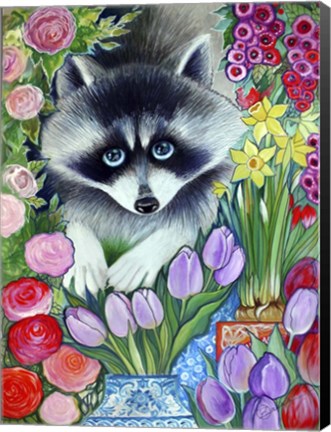 Framed Raccoon Print