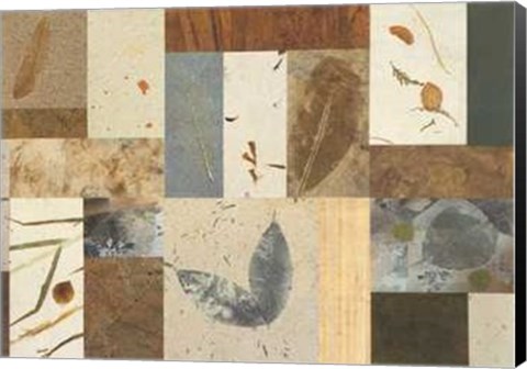 Framed Nature's Collection Print