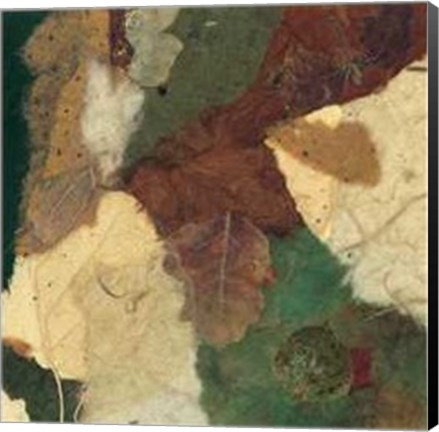 Framed Nature's Composition II Print