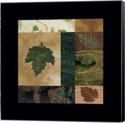 Framed Nature IV Print