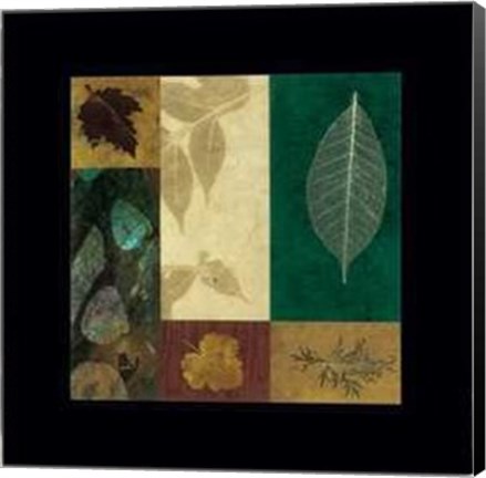 Framed Nature III Print