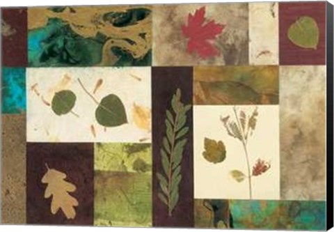 Framed Nature's Memories Print