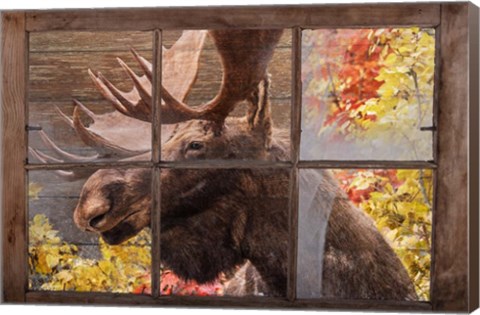 Framed There&#39;s a Moose at the Window Print