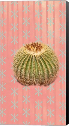 Framed Barrel Cactus Print