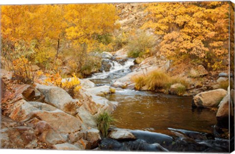 Framed Fall Creek Print