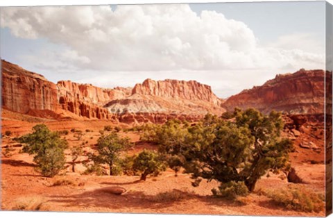 Framed Capital Reef Utah Print