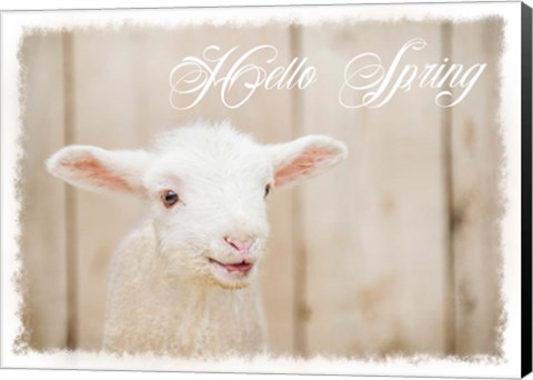 Framed Hello Spring Lamb Print