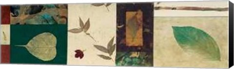 Framed Phillip Jaeger - Nature I Size 35.5x13.75 Print