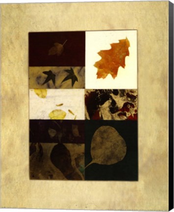 Framed Essential Nature IV Print