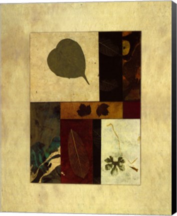 Framed Essential Nature III Print