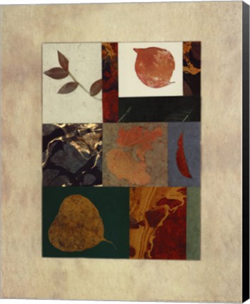 Framed Essential Nature II Print