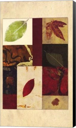 Framed Essential Nature I Print