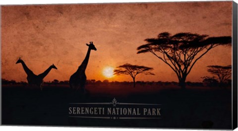 Framed Vintage Sunset with Giraffes in Serengeti National Park, Africa Print