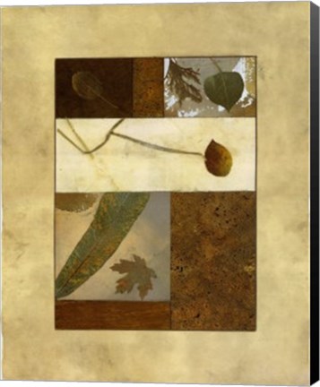 Framed Nature's Way II Print