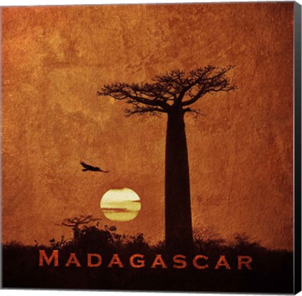 Framed Vintage Baobab Trees at Sunset in Madagascar, Africa Print