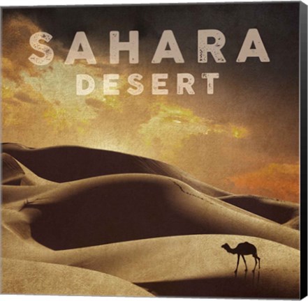 Framed Vintage Sahara Desert with Sand Dunes and Camel, Africa Print