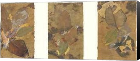 Framed Phillip Jaeger - Leaves Size 35.5x18.5 Print