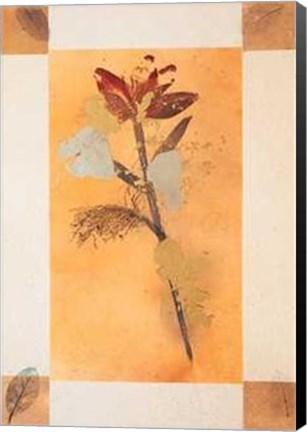Framed Floral I Print