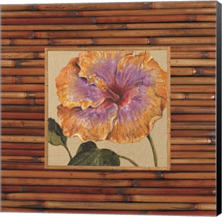 Framed Pacific Paradise B Print
