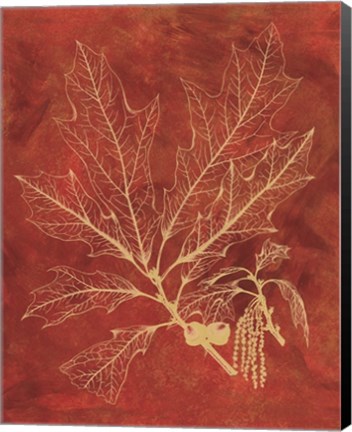 Framed Golden Oak I Print