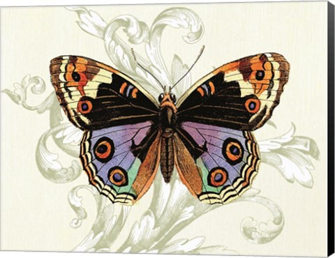 Framed Butterfly Theme I Print