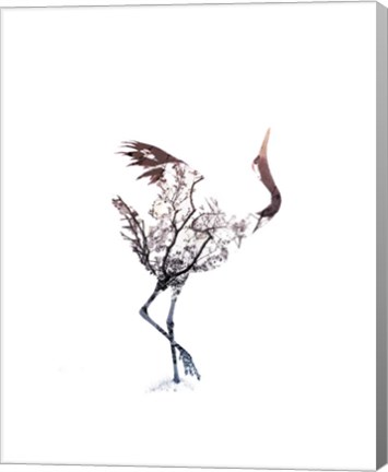 Framed Red Crowned Crane Pair, Part I Inverted Print