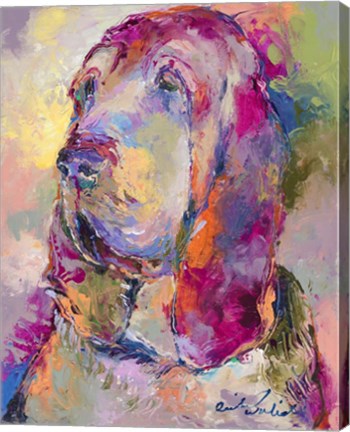 Framed Blood Hound Print