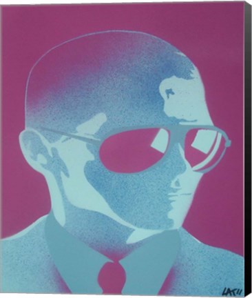 Framed Shades Print