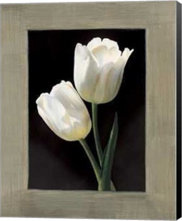 Framed Tulipani Bianchi Print