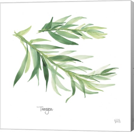 Framed Tarragon Print