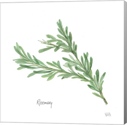 Framed Rosemary Print