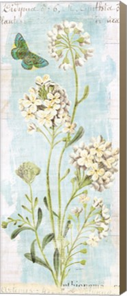 Framed Botany Blue II Print