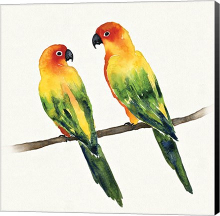Framed Tropical Fun Bird III Print