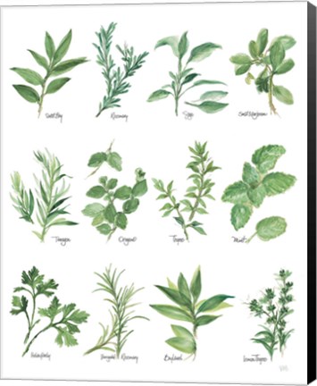 Framed Herb Chart Print