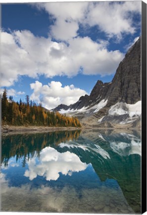 Framed Floe Lake Reflection I Print