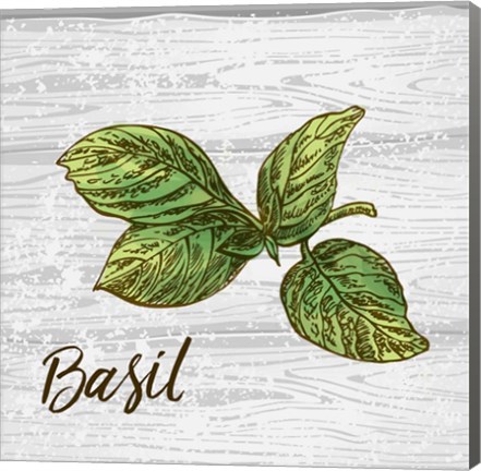 Framed Basil on Wood Print