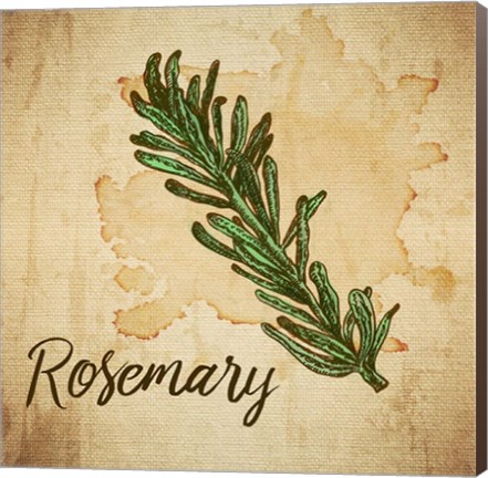 Framed Rosemary on Burlap Print