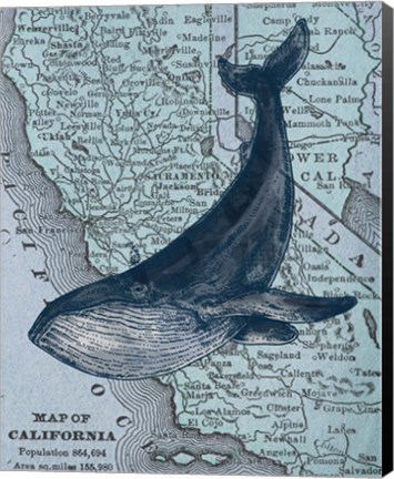 Framed California&#39;s Grayback Whale Print