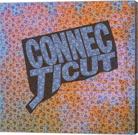 Framed Connecticut on Pattern Print