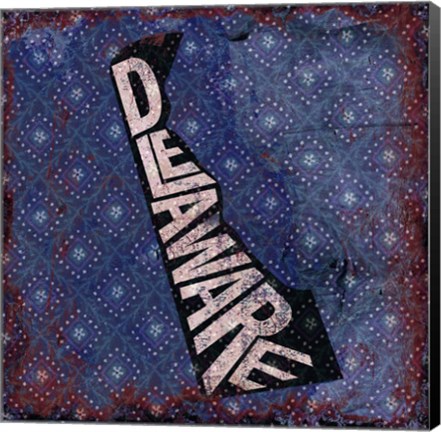 Framed Delaware on Pattern Print