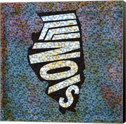 Framed Illinois on Pattern Print