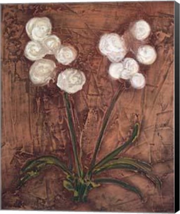 Framed White Flowers on Red II Print