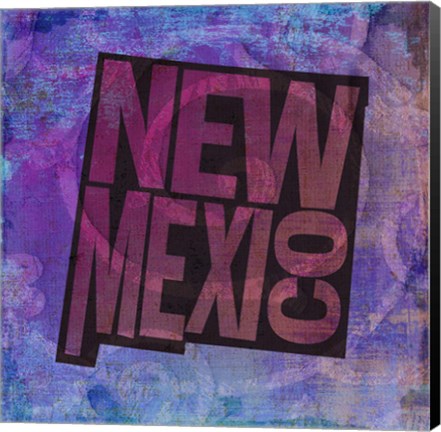 Framed New Mexico on Pattern Print