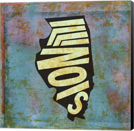 Framed Illinois Print