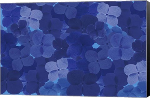 Framed Cool Blue 9 Print