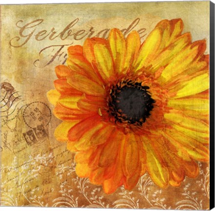 Framed Golden Gerbera I Print